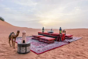 Desert Safari with Land Cruiser