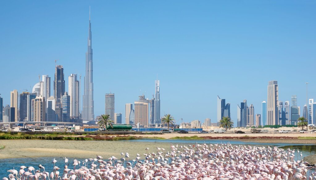 Full day Dubai city sightseeing tours